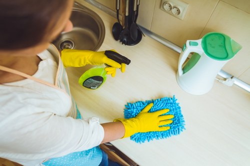 Cleaning pet stains from upholstery in a Bulls Cross home