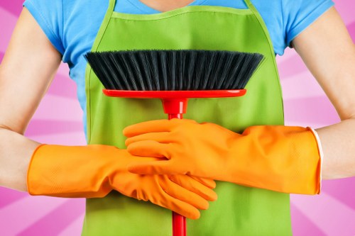 Residential carpet steam cleaning service in Bulls Cross