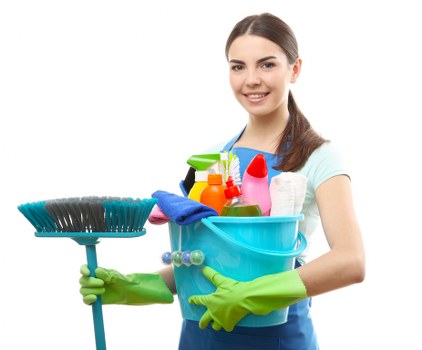 Carpet fibre inspection and cleaning preparation