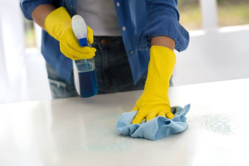 Low-carbon van used for sustainable carpet cleaning visits